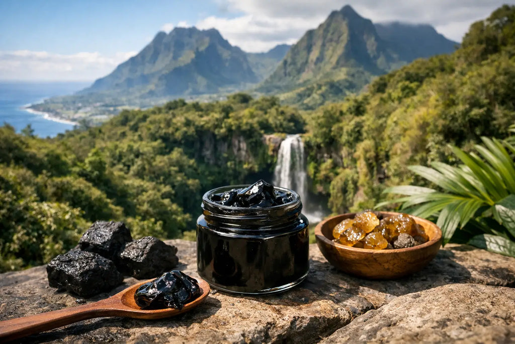 Shilajit La Réunion - bien choisir