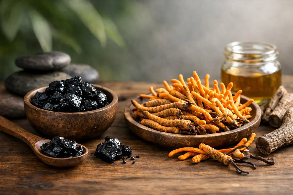 Shilajit und Cordyceps – eine gute Kombination?