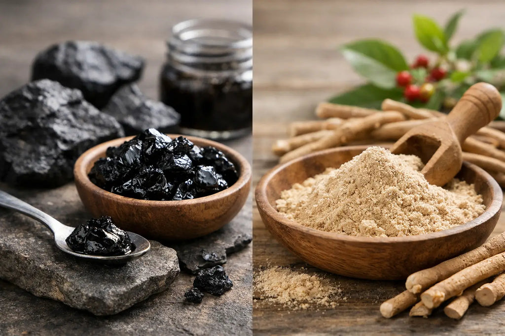 Shilajit ou ashwagandha, quelle différence ?