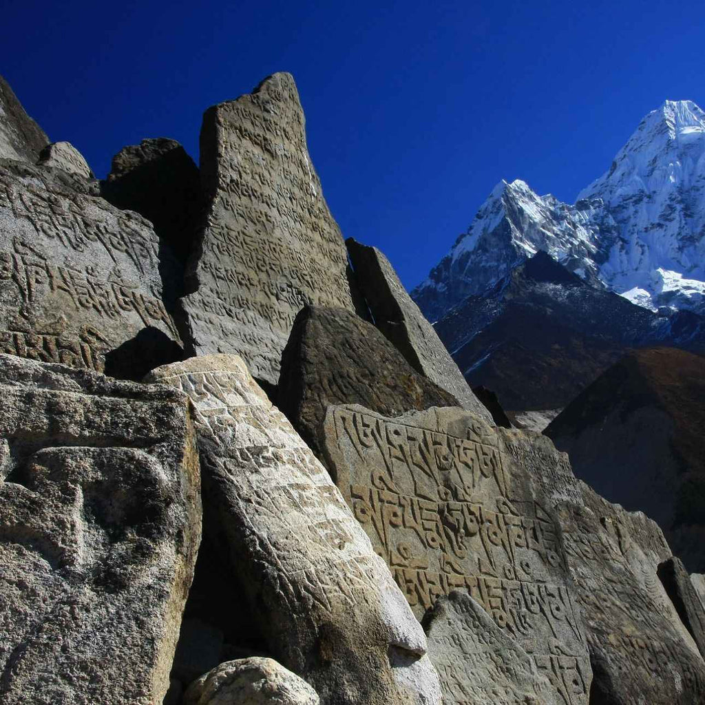Ayurvedic Medicine: Principles, Practices, and the Role of Shilajit