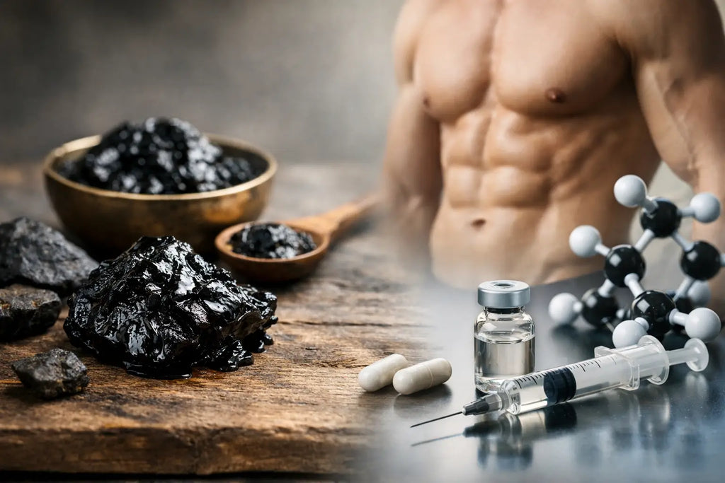 Shilajit testostérone - ce que dit la science