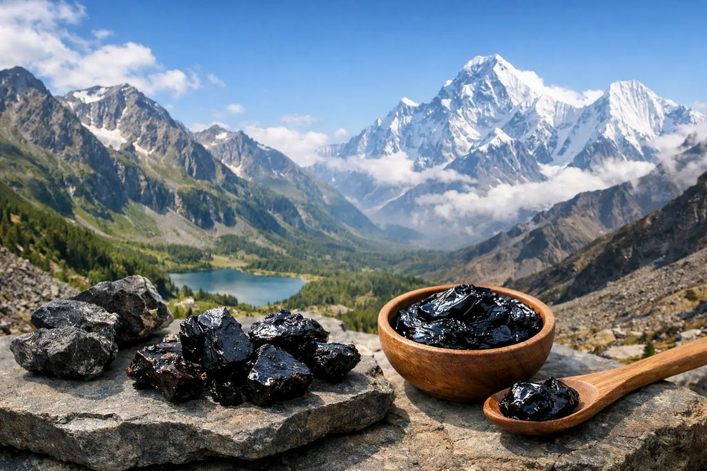 Shilajit : Altaï ou Himalaya - que faut-il savoir ?