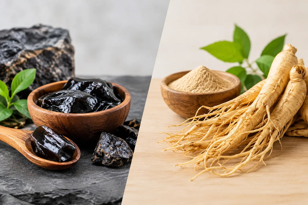 Shilajit ou ginseng énergie : que choisir ?
