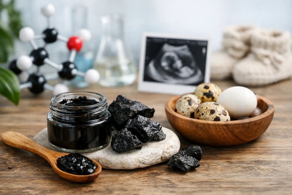 Shilajit fertilité : ce que dit vraiment la science