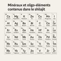 Composition minérale du shilajit - Shamballa Shilajit
