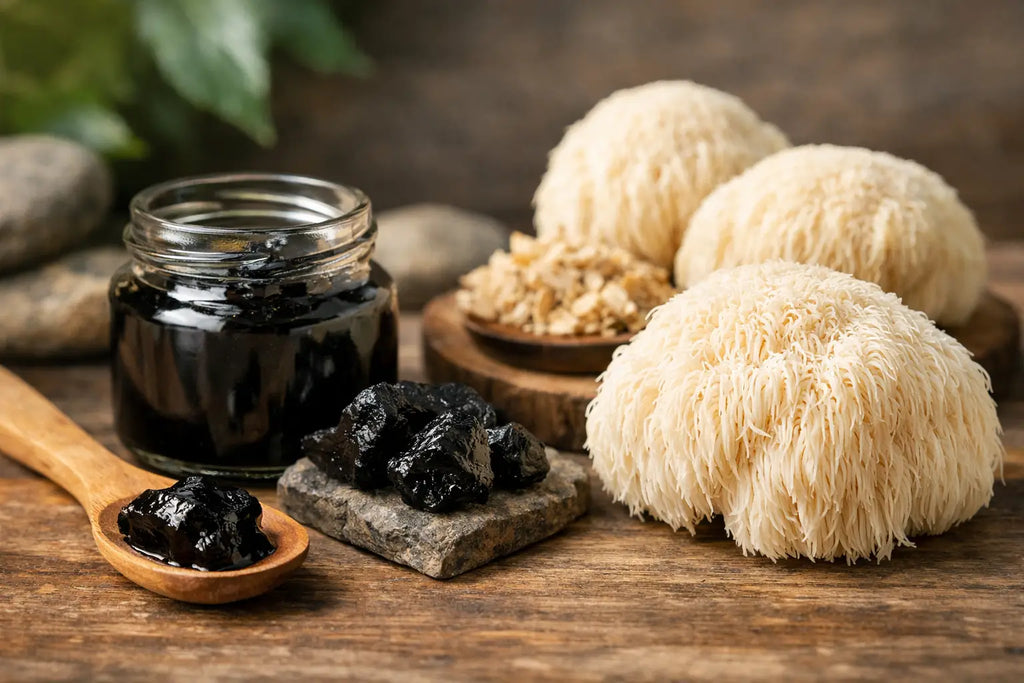 Shilajit und Lion's Mane – eine gute Kombination?
