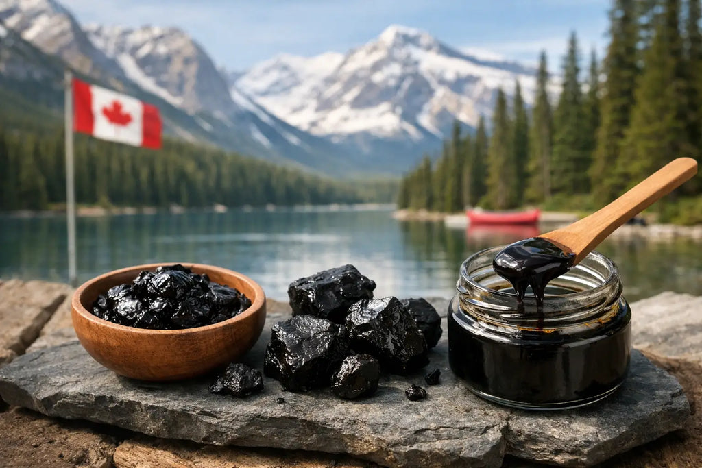 Shilajit Canada - comment bien le choisir