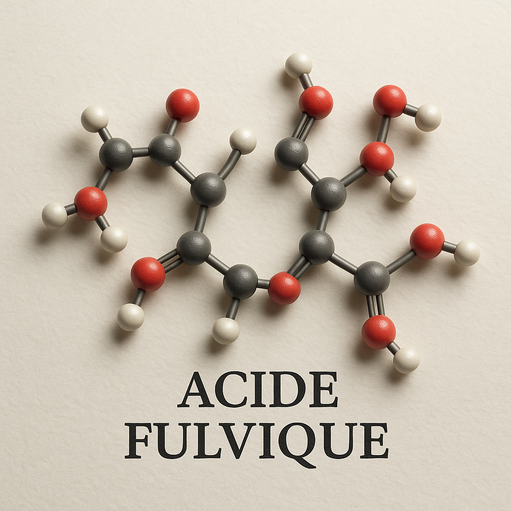 Acide fulvique : propriétés, bienfaits et rôles biologiques