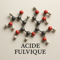 Acide fulvique : propriétés, bienfaits et rôles - Shamballa Shilajit
