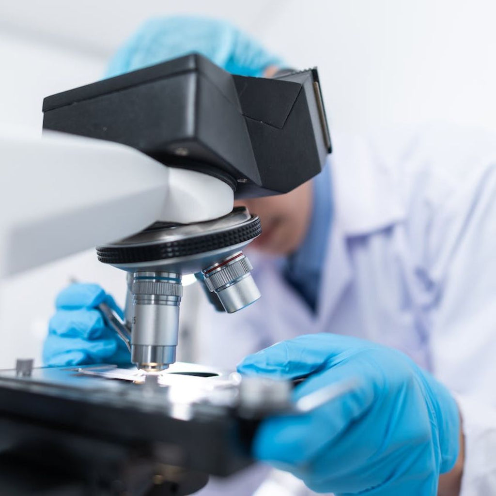 Shilajit und Krebs: Was sagt die Wissenschaft?