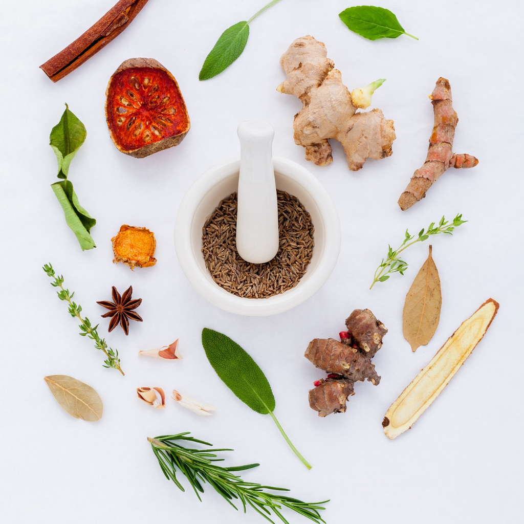Adaptogens - Key Players of Resilience and Balance