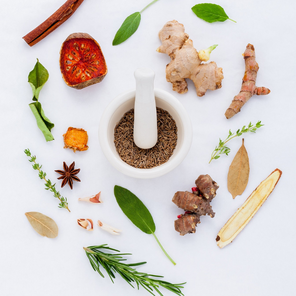 Adaptogens: Top 15 for Resilience and Balance