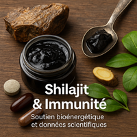 Shilajit et immunité : soutien bioénergétique et données scientifiques