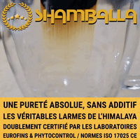 SHAMBALLA® Shilajit Himalayen Pur Premium