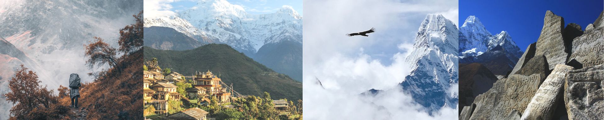 Shamballa®  Pur Shilajit Extrait Des Hautes Montagnes De L'Himalaya –  Shamballa Shilajit
