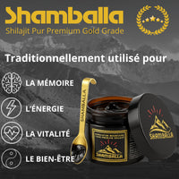 SHAMBALLA® Shilajit Himalayen Pur Premium